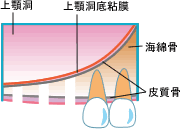 \Pbgtg